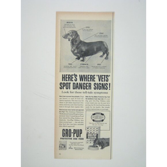 Vintage Gro-Pup Protective Dog Food Advertisement Print 1950s Dachshund AD - Picture 1 of 2